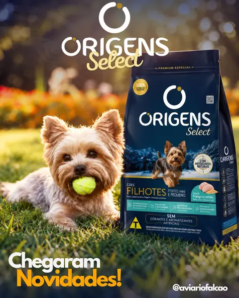 Arte "Chegaram novidades" da ração Origens Select para filhotes, com um yorkshire segurando uma bola de tênis